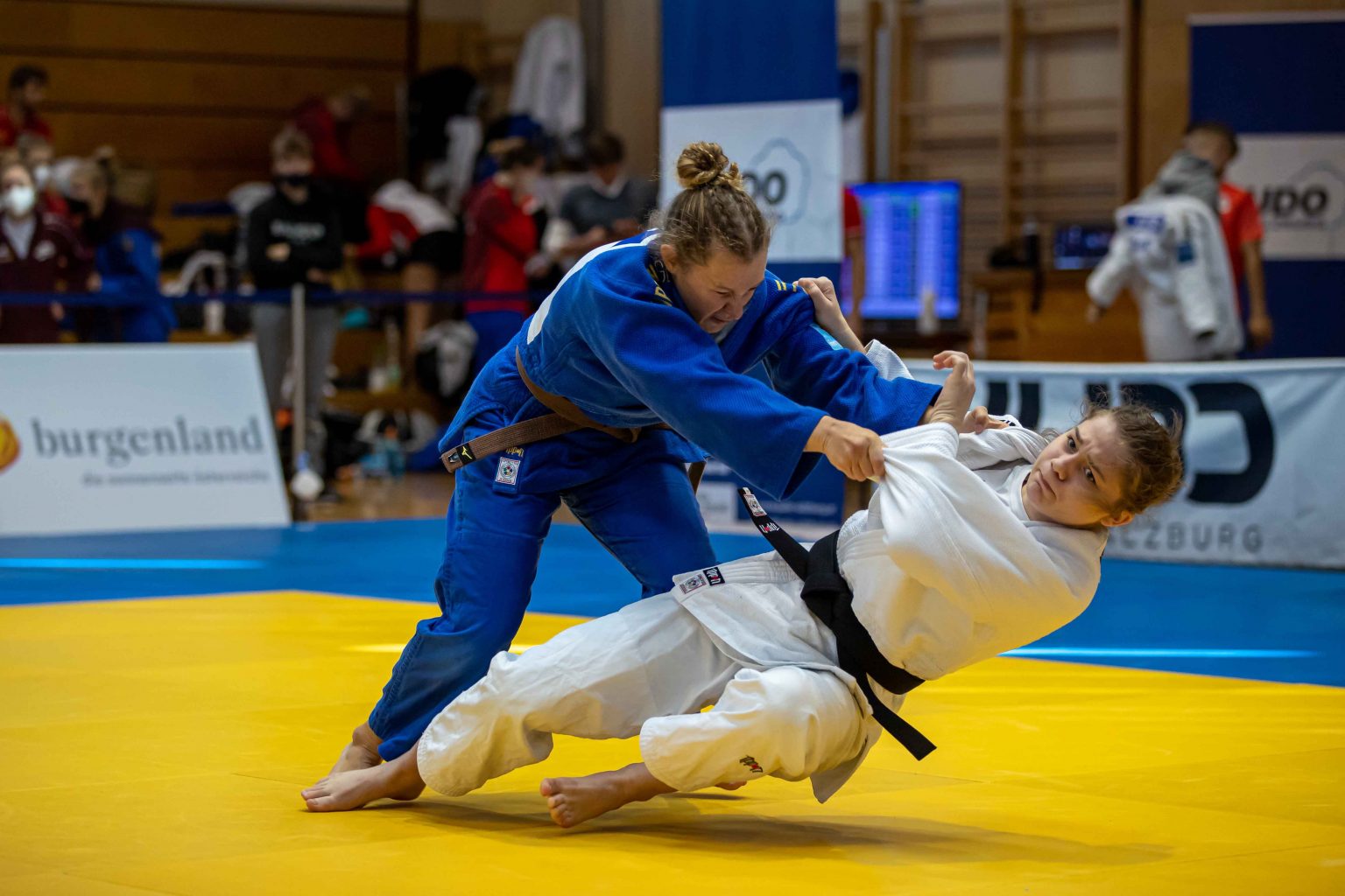 Ostern im Dojo