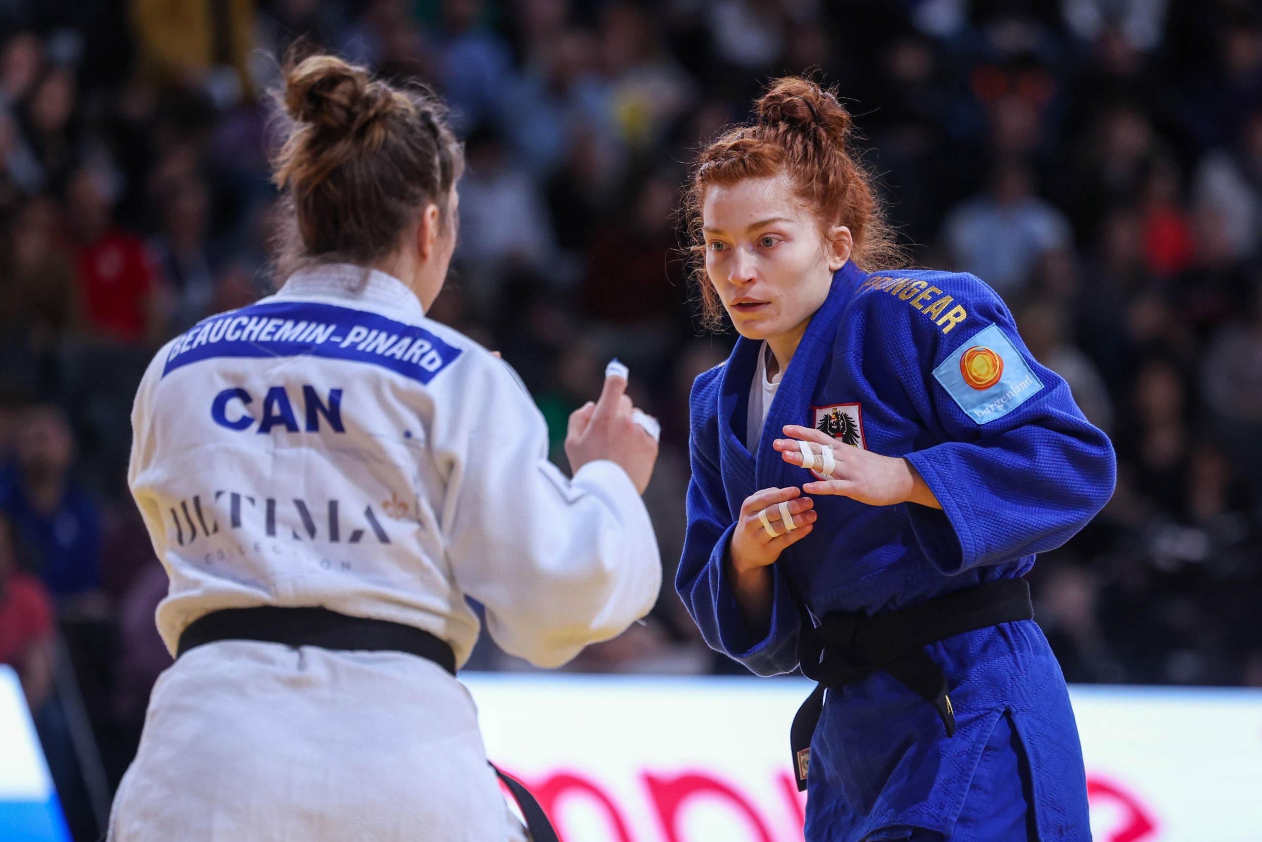 Erster Teilerfolg Judo Austria