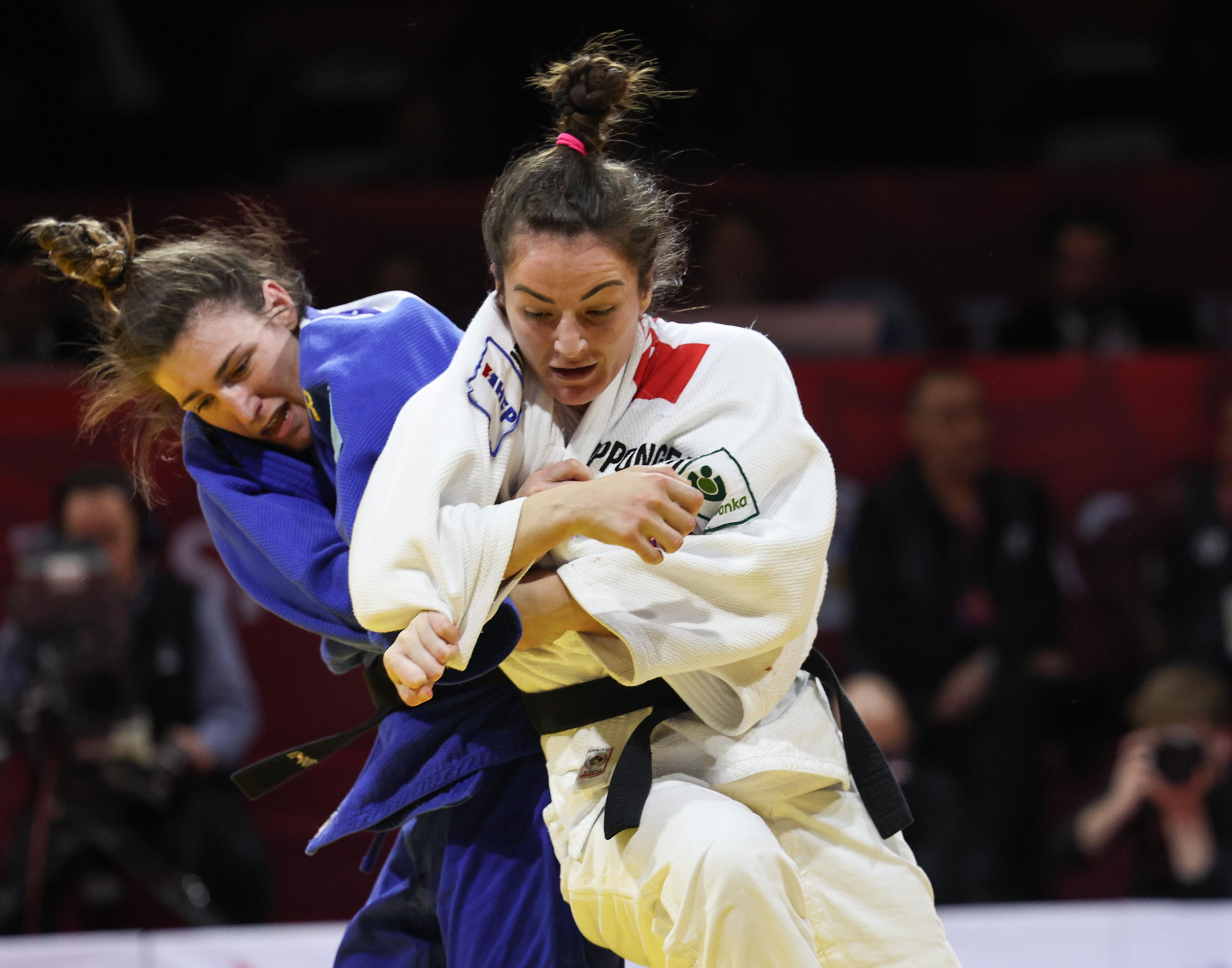 Zwei Medaillen als Ziel Judo Austria