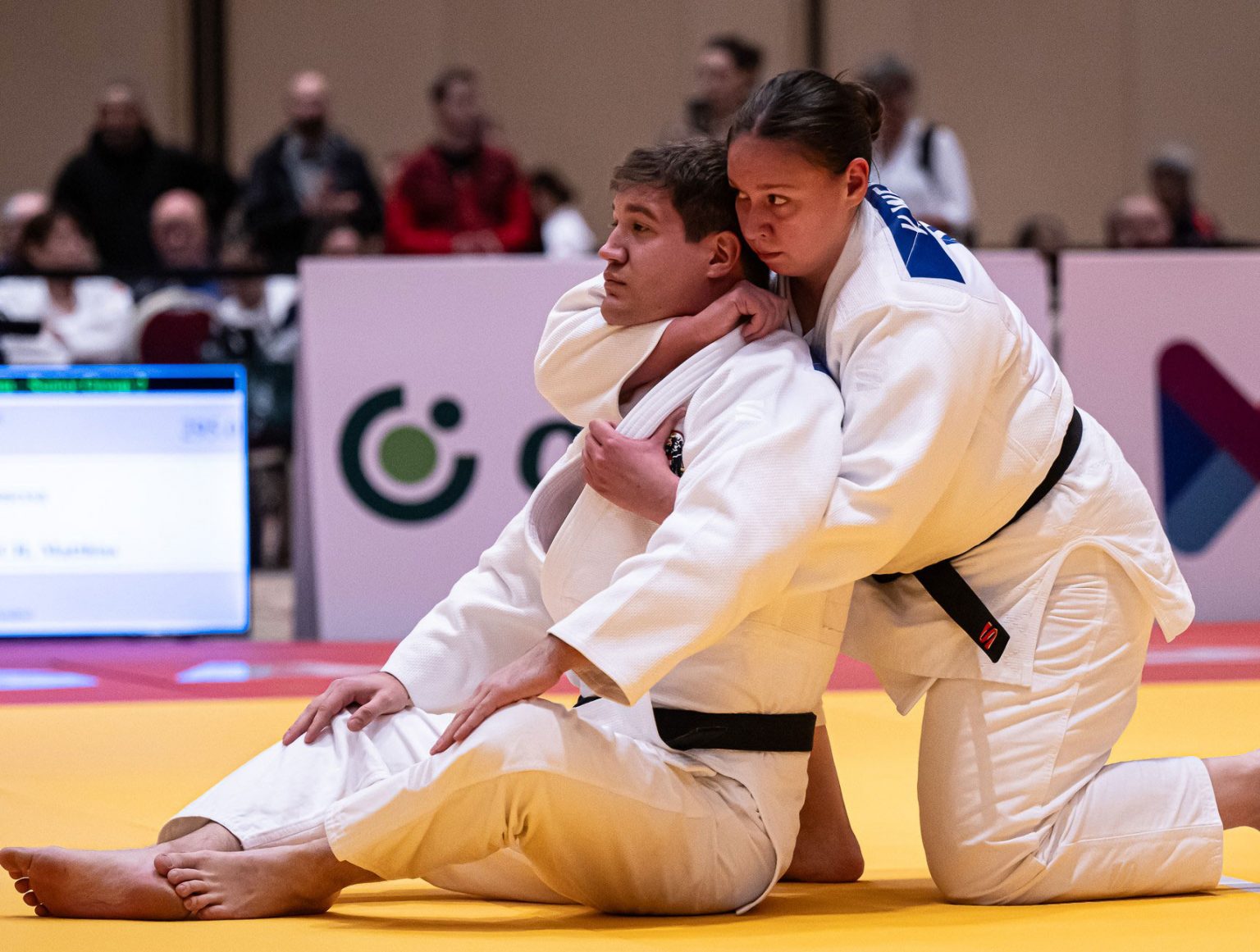 Top-Platzierung