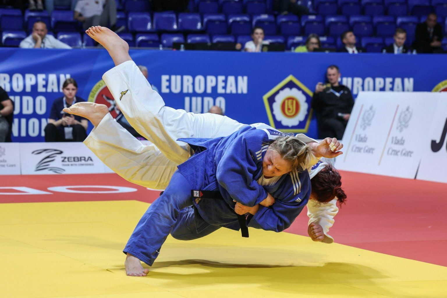 Assistent:in gesucht