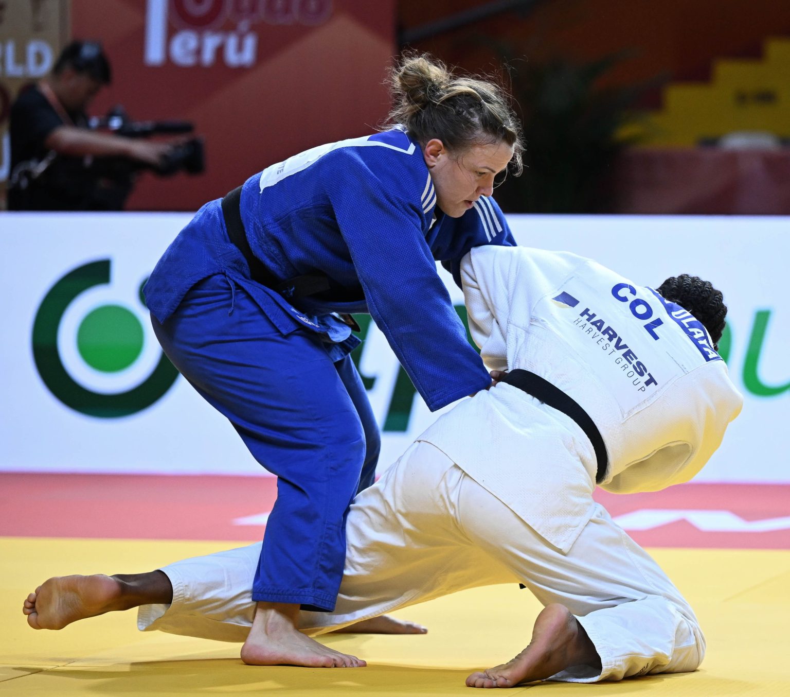 Guinea macht den Anfang